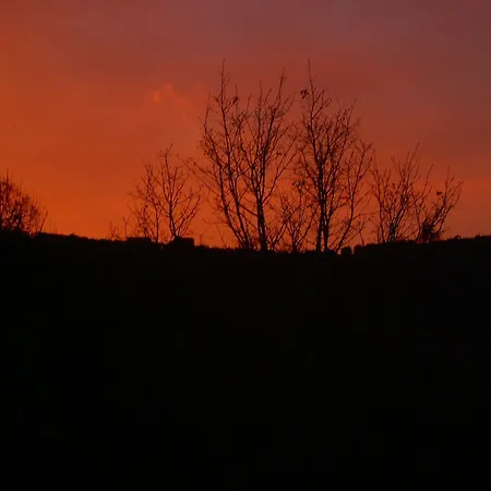 Le Cammarose *