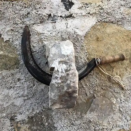 Le Cammarose Bellosguardo