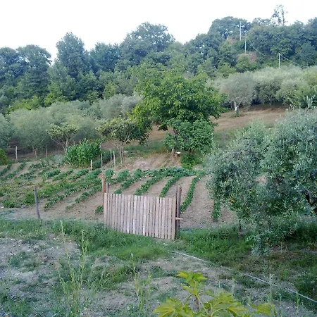 Le Cammarose Bellosguardo