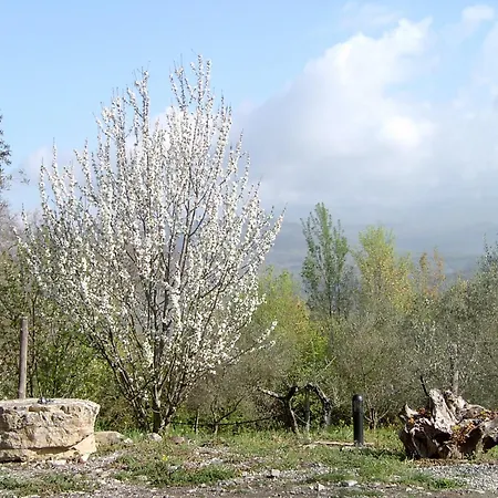 Hotel Le Cammarose