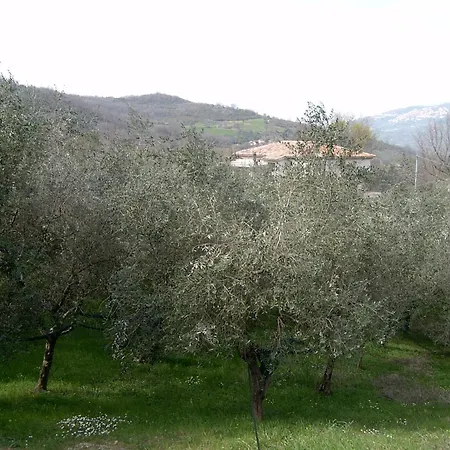Hotel Le Cammarose